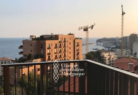 LOCATION APPARTEMENT 2 PIECES PARC SAINT ROMAN