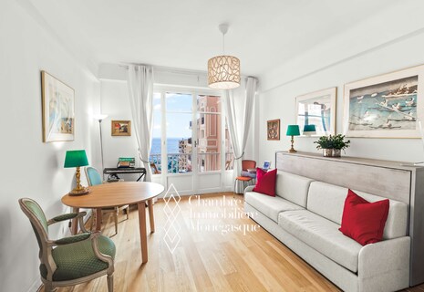 'Monte-Carlo House' :  Spacieux studio avec vue agréable