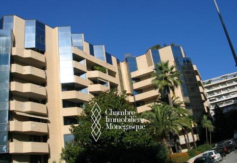 GRAND STUDIO AVEC PARKING