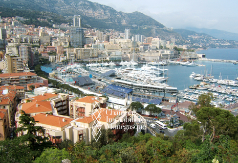 Monaco / Condamine / Murs libres