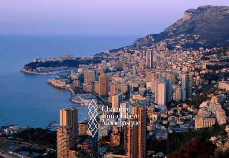 EMPLACEMENT DE  PARKING À LOUER - BELLE EPOQUE