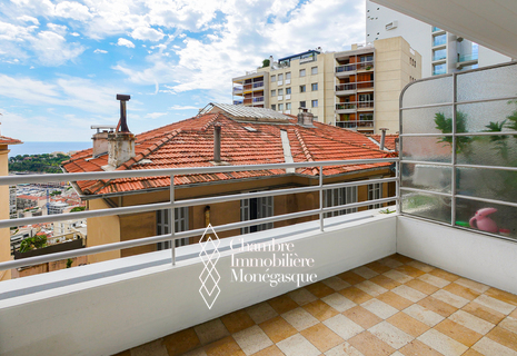 JARDIN EXOTIQUE - LARGE 2-BEDROOM FLAT WITH TERRACE