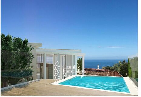 Penthouse vue plongeante sur Monaco