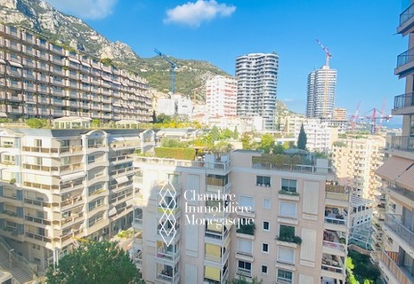 STUDIO CHATEAU D AZUR