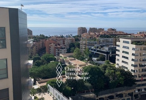 3 pièces grande terrasse - vue dégagée / mer