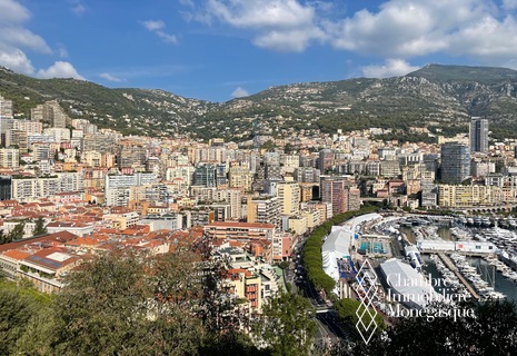 Spectacular and unique view of Monaco
