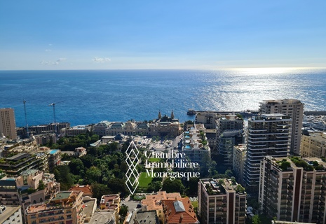 Le Millefiori - 3 Rooms flat - Monte-Carlo