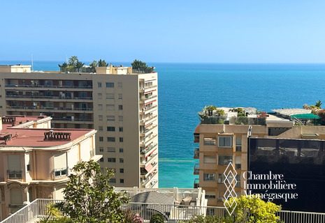 Renovated 3-room apartment with sea view - Les Abeilles