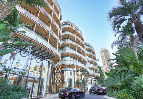 BEAUTIFUL DUPLEX - ONE MONTE CARLO