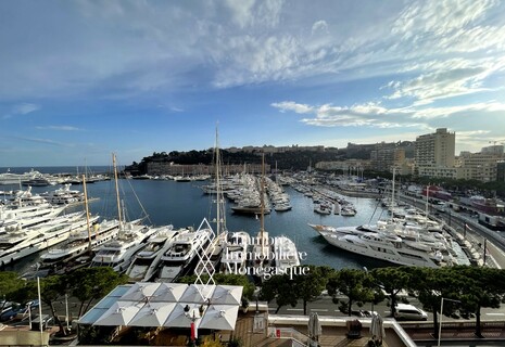 Élégant 3 pièces avec vue panoramique sur la mer et le port de Monaco