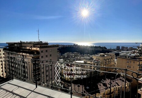 PENTHOUSE 4/5 LOCALI