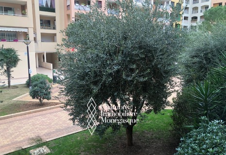 CONFORTABLE STUDIO AU COEUR DE FONTVIEILLE