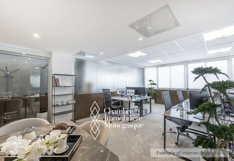 Comfortable independent office in a coworking space in Fontvieille