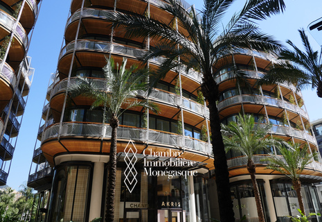 CARRÉ D'OR - UN MONTE CARLO - DUPLEX 5 STANZE