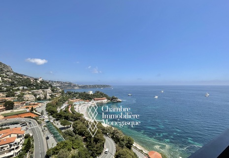 Le Monte-Carlo Sun  - 2 pièces - Saint Roman