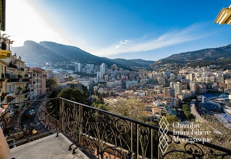 MONACO-VILLE, ONE ROOM APARTMENT WITH TERRASSE PANORAMIC VIEW