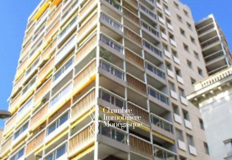 STUDIO BVD DE BELGIQUE