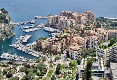 LARGE STUDIO FONTVIEILLE