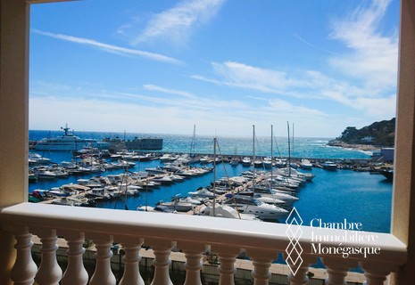 Memmo Center - Monaco  - Spacieux deux pièces avec vue mer