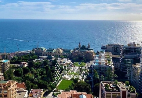 MAGNIFIQUE APPARTEMENT A DEUX PAS DU CASINO