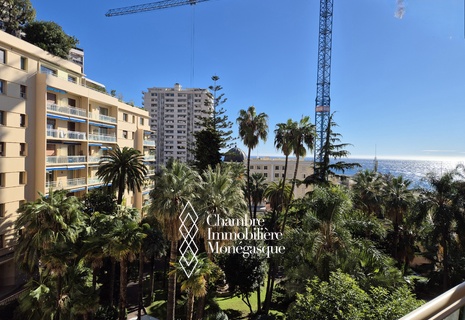 ROQUEVILLE - large 2 rooms crossing - beautiful garden and sea view