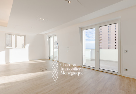 Appartement Prestigieux de 5 Pièces au Cœur de Monaco - La Lestra