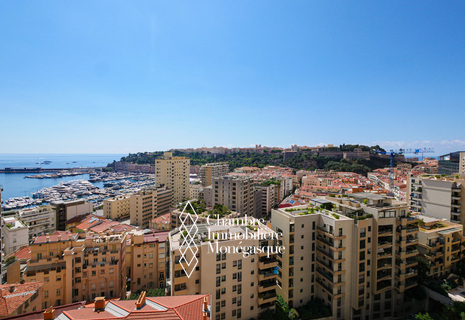 TROPIQUES - 2 PIÈCES RÉNOVÉ - VUE PORT ET ROCHER