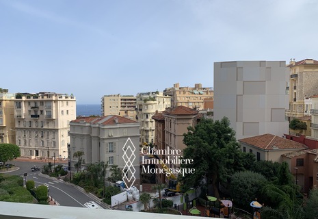 Ampio monolocale con buona redditività