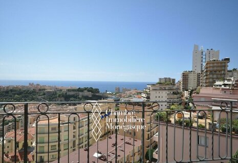 PALAIS DU PRINTEMPS - PENTHOUSE WITH MAGNIFICENT VIEWS