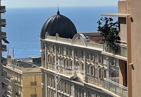 CARRE D'OR /  SPACIEUX 3 PIECES  RENOVE COMPLETEMENT