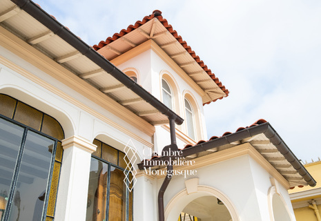 GRAND MANSION | PERIOD ARCHITECTURE