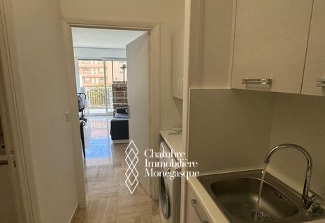 Saint Roman / Château d'Azur / Spacious renovated studio flat with terrace