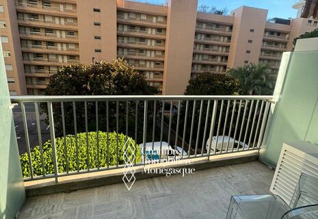 Saint Roman / Château d'Azur / Spacious renovatedand furnished studio flat with terrace