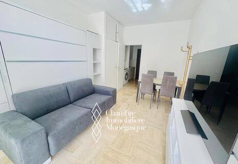 Château d'Azur / Spacious renovated, air conditioned and furnished studio flat with terrace