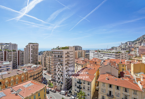 Le Millefiori - 3-rooms apartment - Monte-Carlo