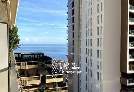 Monaco / Bel Horizon / Grand 4 pièces avec agréable terrasse