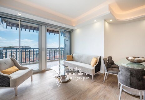 Monte-Carlo - Millefiori - Renovated 2 bedroom apartment