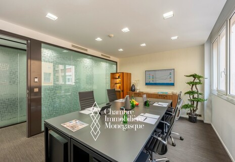 Several offices for rent - Thales, Fontvieille - Luxurious facilities