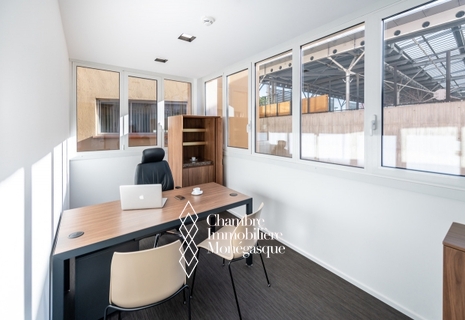 Several offices for rent - Thales, Fontvieille - Luxurious facilities