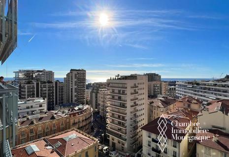 3 BRIGHT ROOMS WITH A VERY NICE VIEW IN THE HEART OF MONTE CARLO