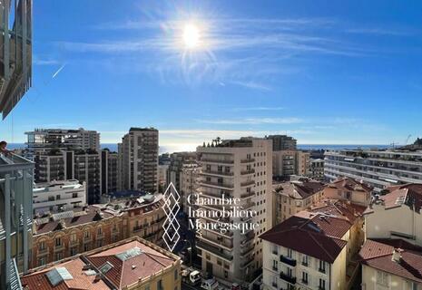 3 BRIGHT ROOMS WITH A VERY NICE VIEW IN THE HEART OF MONTE CARLO