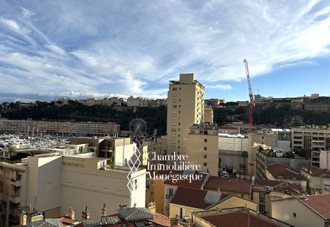 Élégant 2 pièces rénové dans immeuble bourgeois