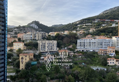 AGREABLE STUDIO VISTA MONTAGNA