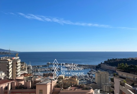 Spacieux 2 pièces entièrement rénové - Vue Mer - Immeuble bourgeois