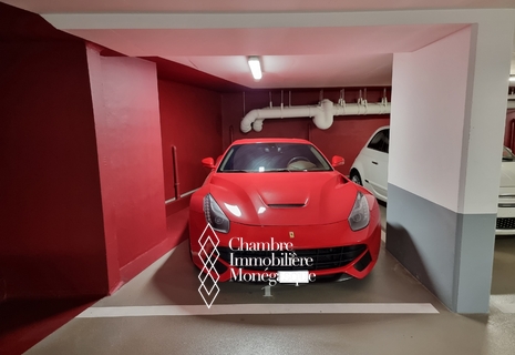 L'Oiseau Bleu - Parking space - Condamine