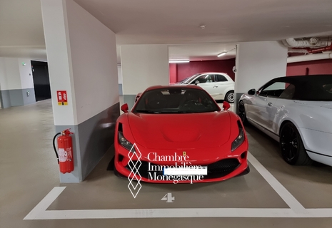 L'Oiseau Bleu - Parking space - Condamine