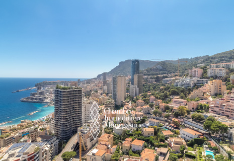 Parc Saint Roman - Magnifique 2 pièces rénové en étage très élevé