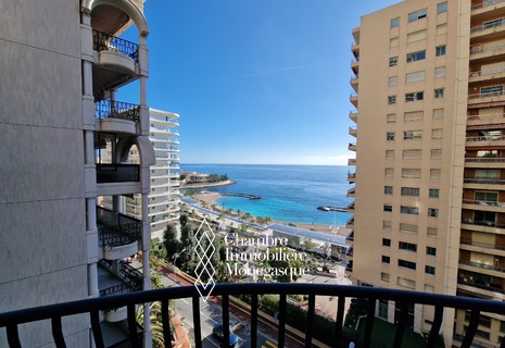 4/5 ROOM APARTMENT - LA ROUSSE - ST ROMAN - UNDER OFFER