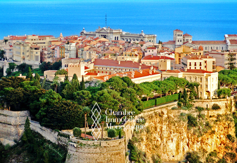 Fond de commerce -  Monaco Ville - Grandes vitrines