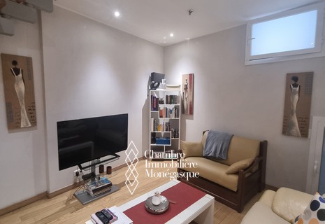 Monaco / Condamine / Duplex atipico di 2-3 stanze